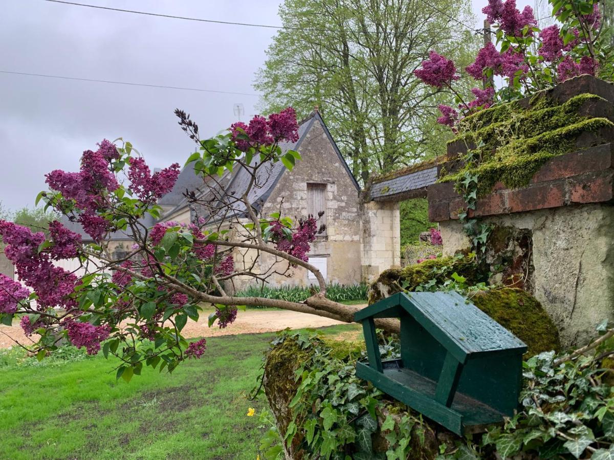 Hotel La Grange d Ave à Luynes  Extérieur photo